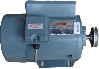 FDM 400W/380V. 1425 об/мин индукционный двигатель